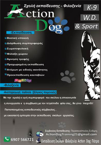 Action Dog | Εκπαίδευση Σκύλων στην Πάτρα, Φυλλάδιο