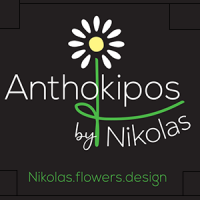 Anthokipos Nikolas Flowers Design | Ανθοπωλεία | Πάτρα | Λογότυπο