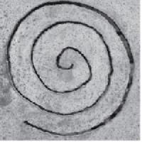 Καρακαξά Ευαγγελία | Συστημική Οικογενειακή Θεραπεύτρια στην Πάτρα, λογότυπο