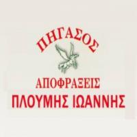 Πήγασος - Πλούμης Ιωάννης