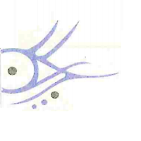 Ρεζίτη Ιωάννα | Οφθαλμίατρος στην Πάτρα, λογότυπο