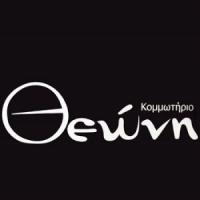 Θεώνη Τζαμάκου - Πολίτη | Κομμωτήριο στην Πάτρα, λογότυπο