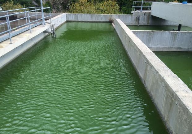 Green Technologies ΕΠΕ 3
