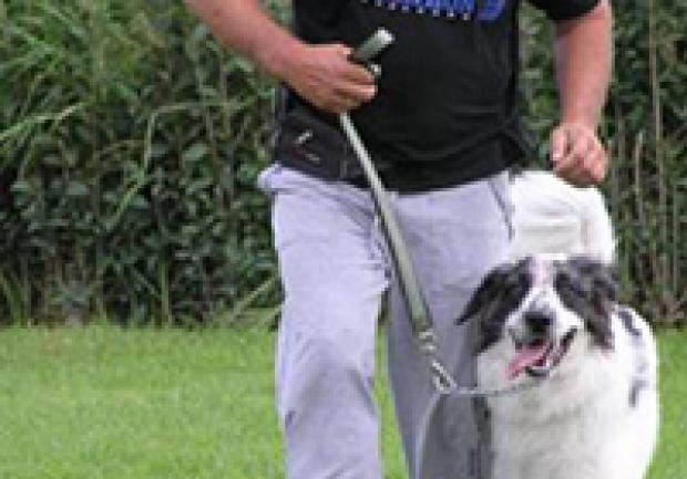 Action Dog | Εκπαίδευση Σκύλων στην Πάτρα, Εκπαίδευση Σκύλου 08