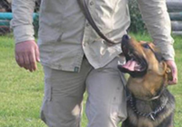 Action Dog | Εκπαίδευση Σκύλων στην Πάτρα, Εκπαίδευση Σκύλου 09