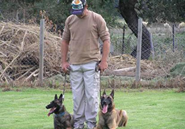 Action Dog | Φύλαξη Κατοικίδιων Ζώων στην Πάτρα, Εκπαίδευση Σκύλου 14