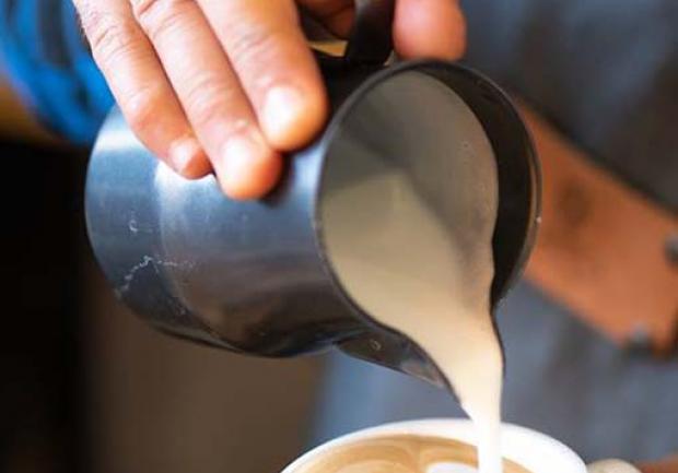 Capo Coffee Roasters | Εμπορία Καφέδων στην Πάτρα, καπουτσίνο