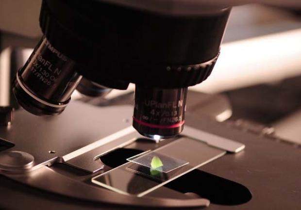 Δάβανου - Μάνδαλος | Μικροβιολόγοι στην Πάτρα