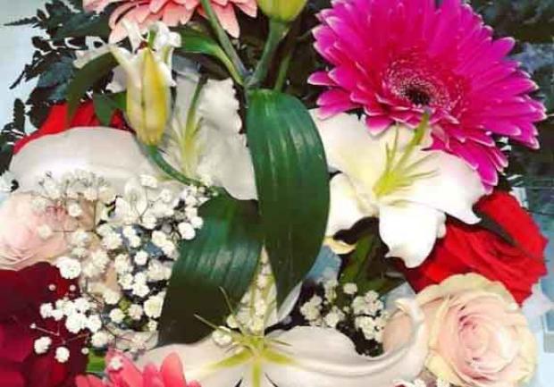 Δωρόδι | Άνθη - Φυτά στην Πάτρα, λουλούδια 7