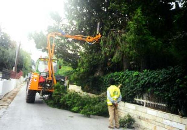 Ευρωκαθαριστική | Ενοικιάσεις Καλαθοφόρων στην Πάτρα, Κόψιμο Δένδρων