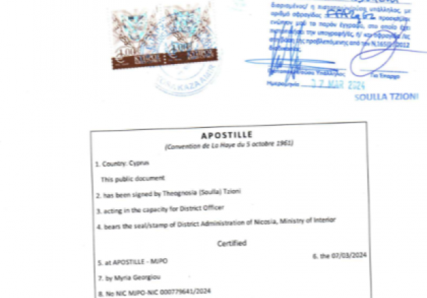 Μαρσέλη Ελένη Msc | Ψυχοθεραπεύτρια | Πάτρα | Πτυχίο 8