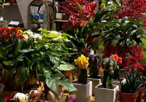 Plants - Objects - Art | Ανθοπωλείο | Πάτρα 7