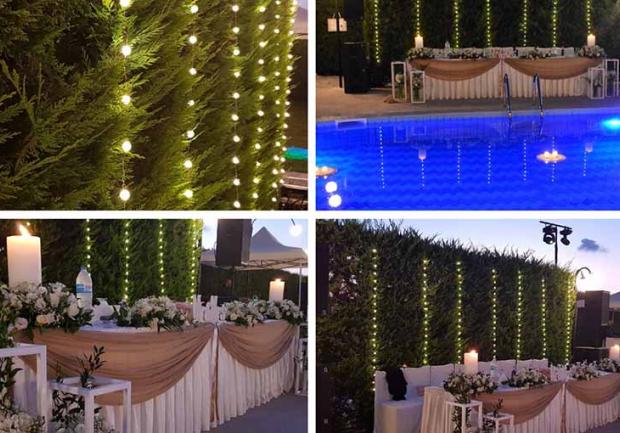 Τουλίπα της Γιώτας | Ανθοπωλείο στην Πάτρα, Στολισμός Κέντρου